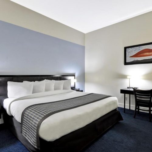 Standard 6 Bed Male Dorm